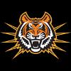 爱达荷州立女篮