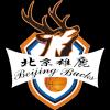 北京东方雄鹿U21